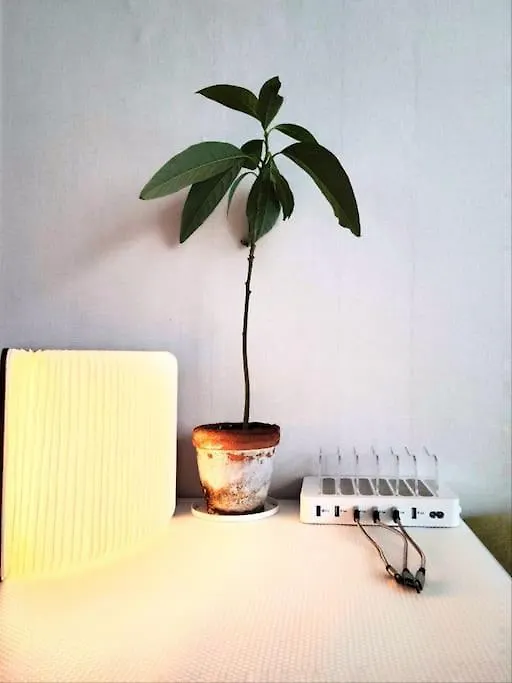 Apartment Homey Heaven Seoul